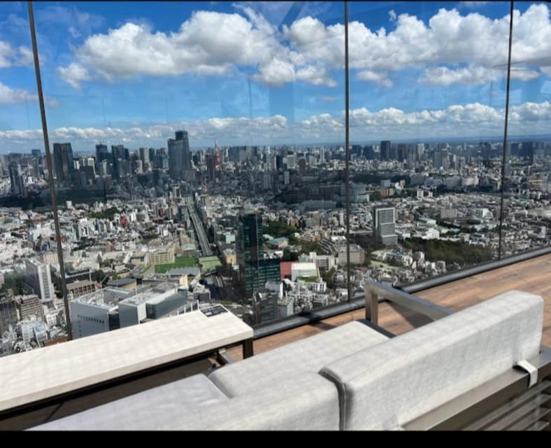 Tokyo: Private Customizable Day Tour with Chauffeur - Ending smart: drop-offs in Shibuya, Tokyo, or Kanagawa