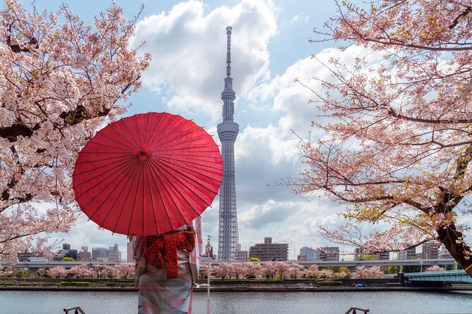 Tokyo Private Customizable Tour with English Speaking Chauffeur - Why a hotel pickup matters in Tokyo (and why this feels easy)