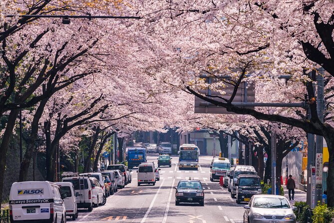 Tokyo Private Customizable Tour with English Speaking Chauffeur - Senso-ji to Odaiba: the route that strings together old Tokyo and modern Tokyo