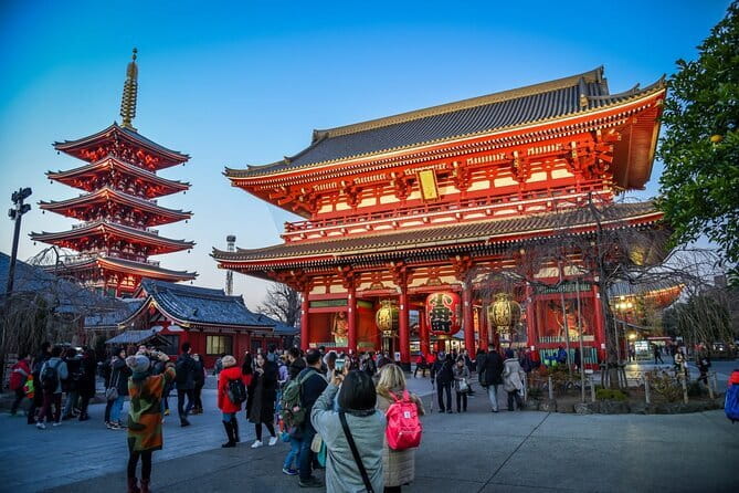 Tokyo private Driving Tour by car/van English speaking chauffeur - Key Things You Should Know Before You Ride