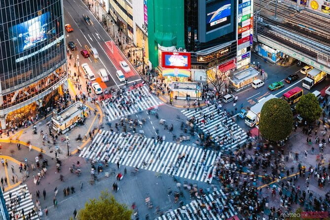 Tokyo private Driving Tour by car/van English speaking chauffeur - Why a Private Chauffeur Makes Tokyo Feel Easier