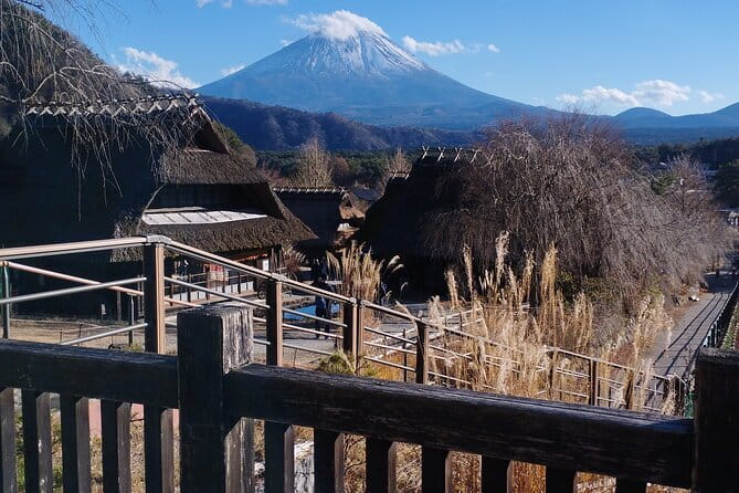 Tokyo private Driving Tour by car/van English speaking chauffeur - Sensō-ji Temple and Nakamise Street: Start With Old Tokyo Energy