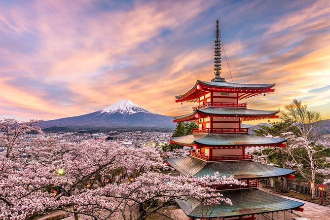 Tokyo private Driving Tour by car/van English speaking chauffeur - Tokyo Tower Photos, Then Meiji Jingu’s Forest Walk