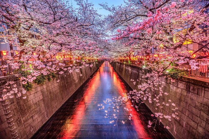 Tokyo Private Driving Tour by Car/Van with English Chauffeur - Senso‑ji Temple: the classic Tokyo scene, with time to look around