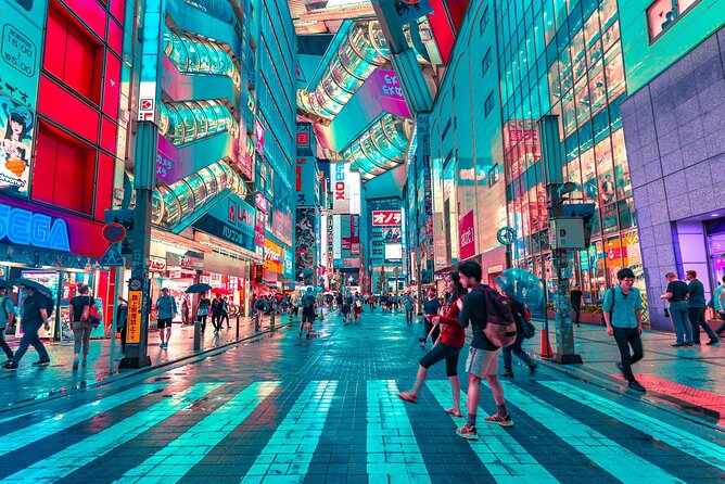Tokyo Private Driving Tour by Car/Van with English Chauffeur - Imperial Palace area: a major stop that can depend on the day