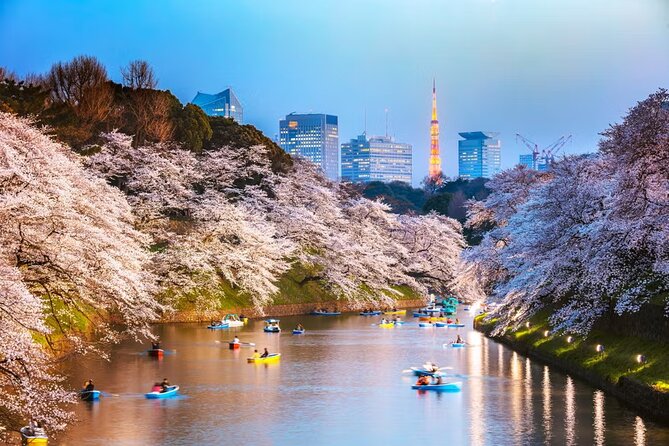 Tokyo Private Driving Tour by Car/Van with English Chauffeur - Skytree and Tokyo Tower: two skyline styles, and two separate ticket needs