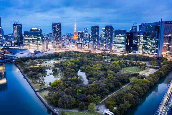 Tokyo Private Driving Tour by Car/Van with English Chauffeur - Meiji Jingu Shrine: a quiet reset between city noise