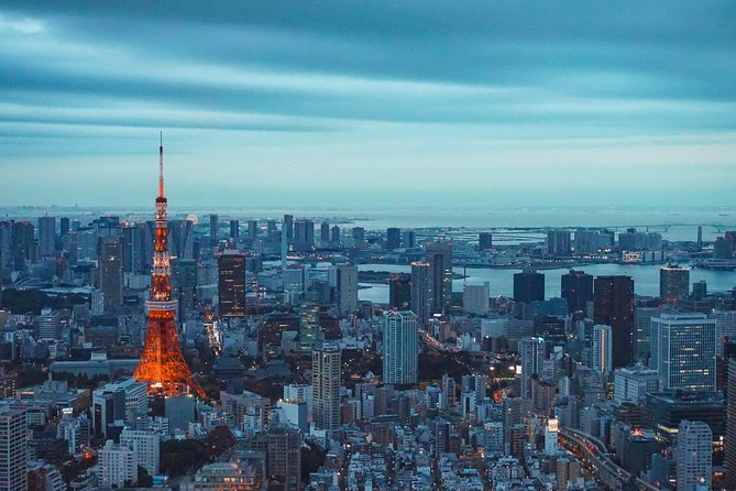Tokyo Private Full-Day Tour by Car or Van - Meiji Jingu Shrine, plus optional Yoyogi and Takeshita