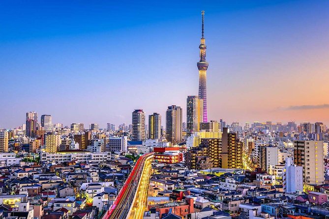 Tokyo Private Full-Day Tour by Car or Van - Price and what you get for a 10-hour window