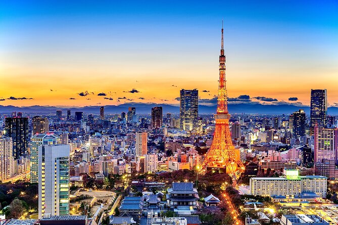 Tokyo Private Sightseeing Tour by Car- English speaking chauffeur - A 9-hour hits-the-high-points day with real local flow
