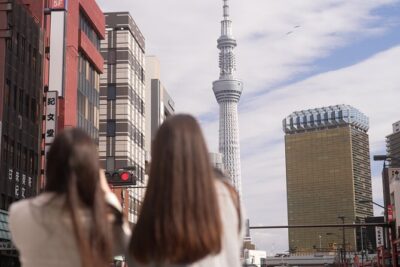 Tokyo Private Sightseeing Tour by Car- English speaking chauffeur - Price and value: what $268.61 per group really buys