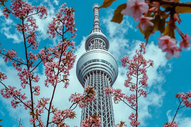 Tokyo Private Sightseeing Tour by Car- English speaking chauffeur - Stop 1: Tsukiji Outer Market for Tokyo food culture