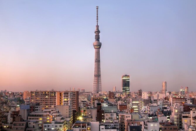 Tokyo Private Tour by Vehicle with English-Speaking Chauffeur - Key highlights to know before you go