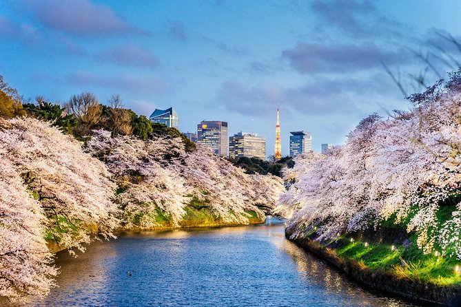 Tokyo Private Tour by Vehicle with English-Speaking Chauffeur - Why a private chauffeur tour is smart for first-timers in Tokyo
