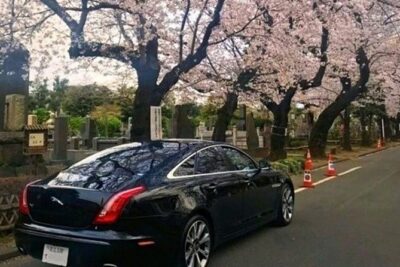 Tokyo Private Tour by Vehicle with English-Speaking Chauffeur - What you get in the car: bottled water, English service, and commentary timing