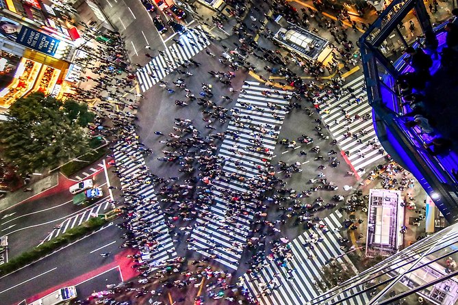 Tokyo Private Tour by Vehicle with English-Speaking Chauffeur - Tsukiji Outer Market: the food stop that turns the day into real Tokyo