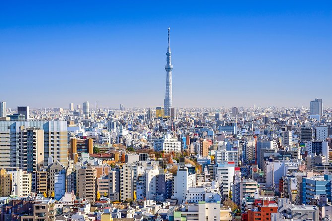 Tokyo Private Tour by Vehicle with English-Speaking Chauffeur - Meiji Jingu Shrine: Emperor Meiji and a shrine built for modern Japan