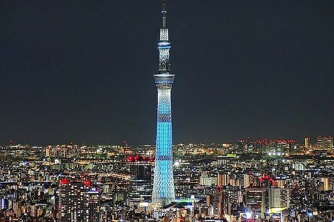 Tokyo Sightseeing/ City Tour by Private Car with English Guide - Key highlights you’ll care about