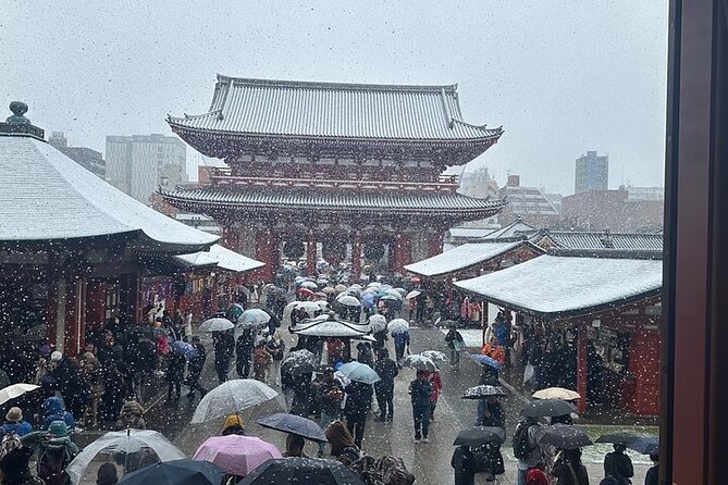 Tokyo Sightseeing/ City Tour by Private Car with English Guide - Asakusa’s Senso-ji Temple: old Tokyo in human scale