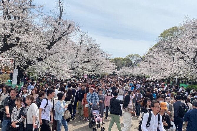 Tokyo Sightseeing/ City Tour by Private Car with English Guide - Tokyo Skytree: the big-ticket view you choose