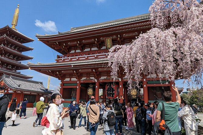 Tokyo VIP Guided Private Car Tour with Optional Airport Transfer - Key things that make this tour work