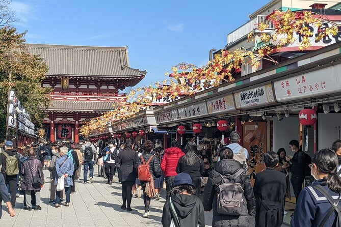 Tokyo VIP Guided Private Car Tour with Optional Airport Transfer - What you actually get for the money