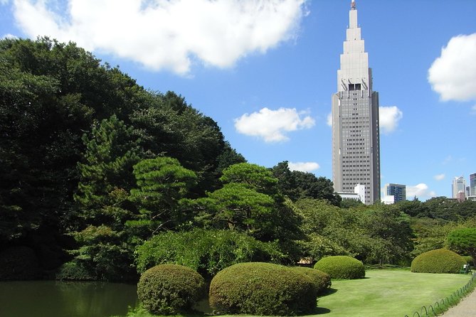Tokyo VIP Guided Private Car Tour with Optional Airport Transfer - Shibuya and Hachiko: Tokyo’s famous intersection intro