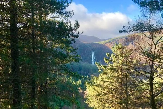 Tour Wicklow Mountains National Park in a limo with private guide - Why a private Wicklow limo day beats a bus tour