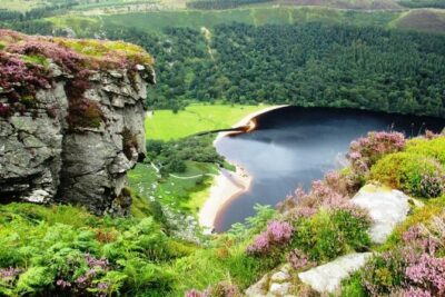 Tour Wicklow Mountains National Park in a limo with private guide - Wicklow Mountains National Park: heather hills and movie backdrops