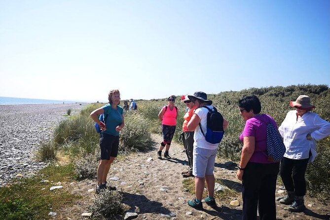 Tour Wicklow Mountains National Park in a limo with private guide - Price and logistics: what $714.87 per group really means