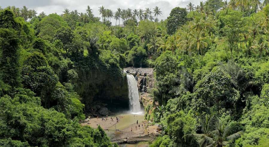 Ubud: Customized Ubud Tour With Private Car - Tegalalang Rice Terraces: When a View Becomes a Walk