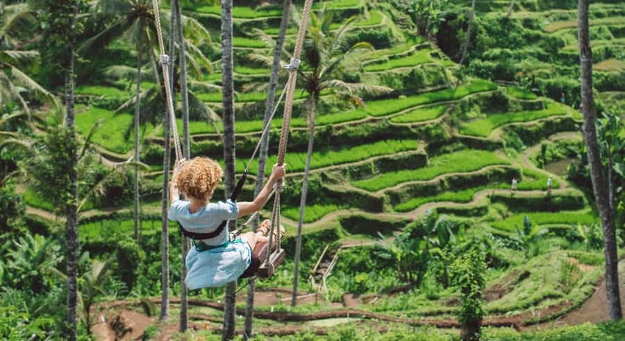 Ubud: Customized Ubud Tour With Private Car - Meeting Your Driver: The Smooth, Safe Part of the Day