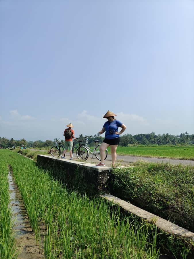 Yogyakarta: Tailor-Made Private Car Rental With Driver - Jomblang Cave and Pindul Cave: thrilling, but plan for pacing