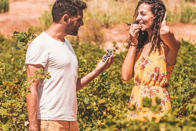 Your Private Driver & Chauffeur Service in Crete from Heraklion - Ticket help and skip-the-line access: where the value shows up