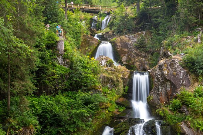 Zürich: Private Car Tour to Rhine Falls, Titisee and Black Forest - Lake Titisee and Schluchsee: Black Forest Water Views Without the Overplanning